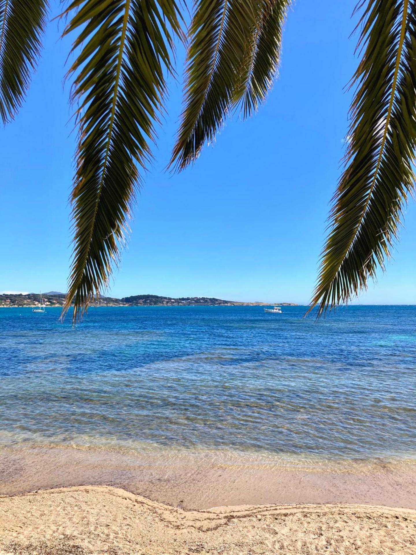 Appartement Coup De Coeur Centre Village Et Plage Climatise 3 Etoiles Terra Cigala Bandol Exteriör bild